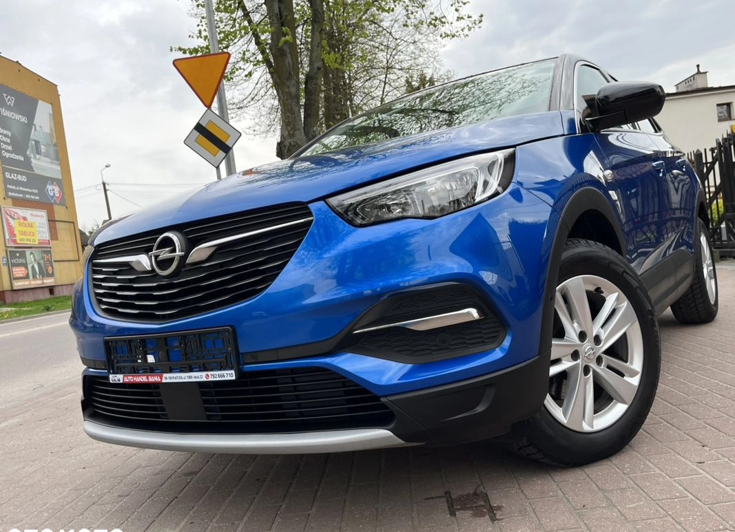 Opel Grandland X cena 61900 przebieg: 173555, rok produkcji 2018 z Działdowo małe 781